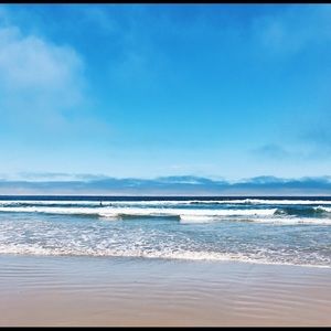 Meet your Posher, Sam